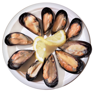 Cozze Fresche