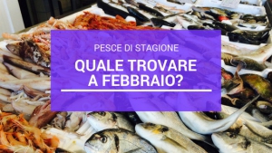 Pesce di Stagione: quale trovare a Febbraio?