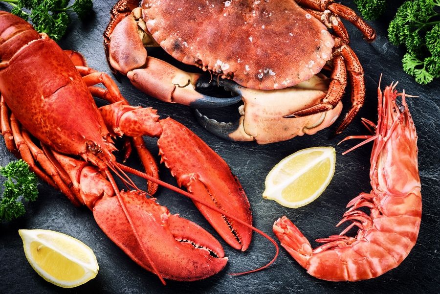 Crostacei vivi