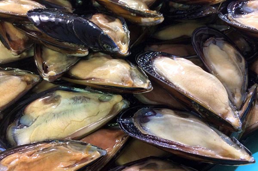 Mitili e frutti di mare