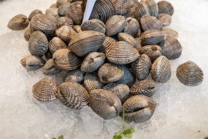 I nostri frutti di mare: scopri le noci di Marevivo