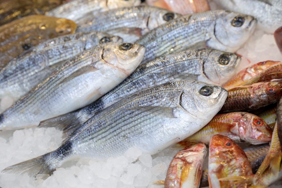 Pesce fresco di stagione: scopri le proprietà dell&#039;occhiata