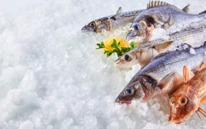 Gli italiani riscoprono il piacere del pesce: i dati dell&#039;Iias