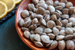 I nostri frutti di mare: scopri la Vongola o Lupino di Marevivo