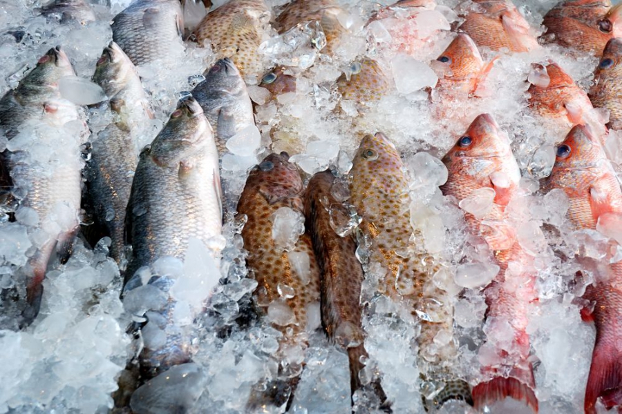 Come decongelare un prodotto ittico? Ecco i nostri consigli.