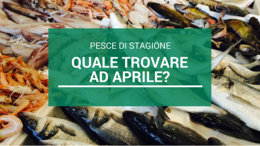 Pesce di stagione: quale scegliere ad Aprile?