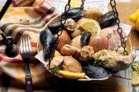 I nostri frutti di mare: scopri i Mussoli di Marevivo