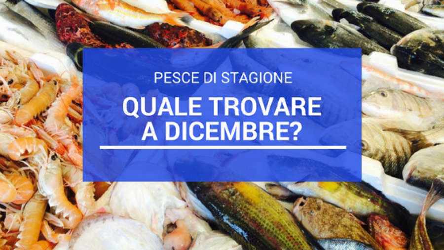 Pesce di Stagione: quale trovare a Dicembre