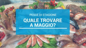 Pesce di stagione: quale scegliere a Maggio?