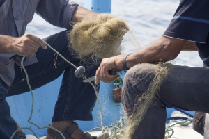 La filiera ittica corta di Marevivo: una garanzia di freschezza