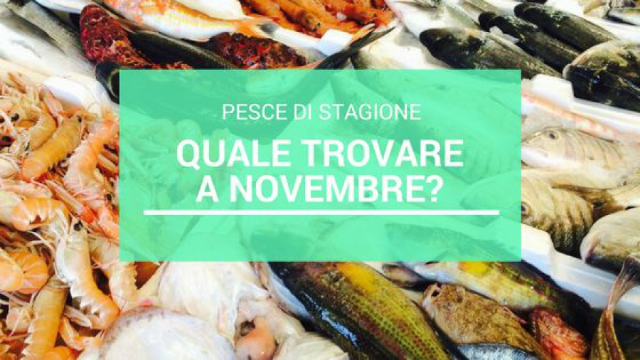 Pesce di stagione: ecco quale trovare a novembre