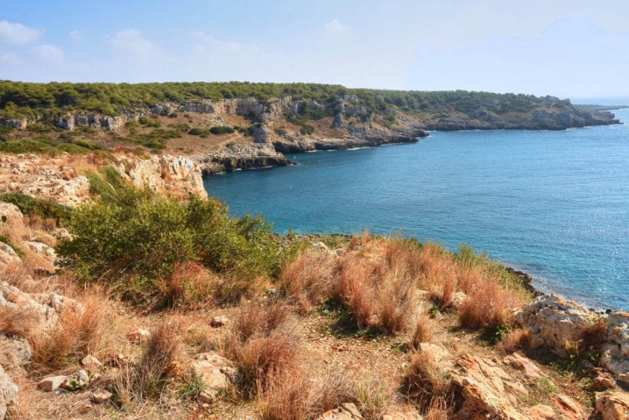 I francesi scoprono il Salento: ecco di chi stiamo parlando