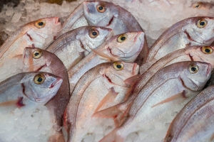 Pesce di stagione in tavola: quale scegliere a marzo