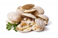 Come eliminare la sabbia dalle vongole? Ecco come pulirle