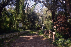 Il bosco della Scarra di Castro