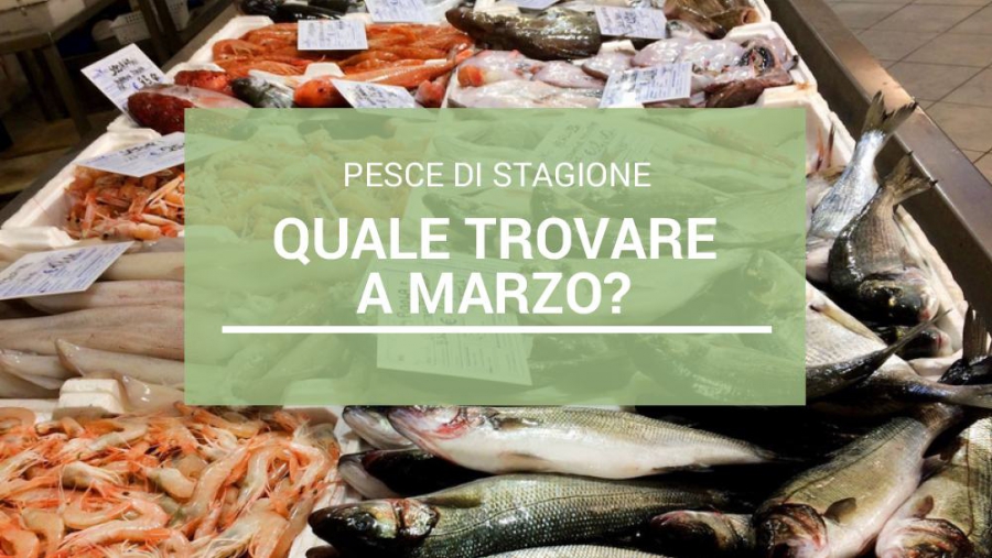 Pesce di stagione: quale scegliere a Marzo?