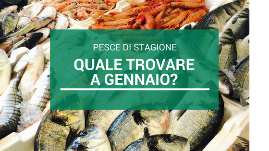 Pesce di Stagione: quale trovare a Gennaio?