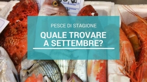 Pesce di stagione: quale scegliere a Settembre